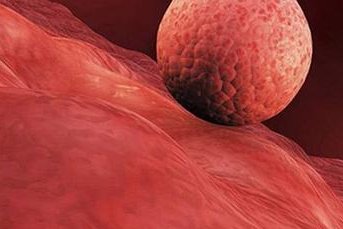 子宫内膜太厚和太薄可以进行试管手术吗？