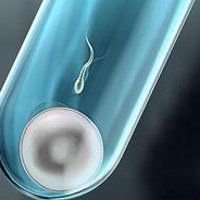 上午去医院做试管婴儿囊胚移植下午就去上班可以吗？