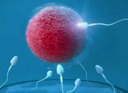 艾滋病患者去泰国全球(孕诚)生殖中心做试管贵吗？需要花费多少钱？