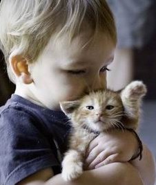 停经了可以去福州医院做试管吗？