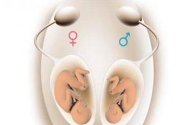 试管婴儿怀孕后容易早产吗？国内试管医院排名一览